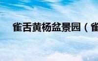 雀舌黄杨盆景园（雀舌黄杨盆景怎么养）