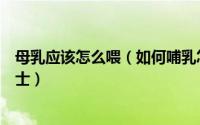 母乳应该怎么喂（如何哺乳怎么喂奶母乳喂养步骤方法小贴士）