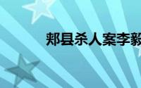 郏县杀人案李毅（郏县杀人案）