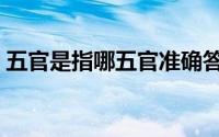 五官是指哪五官准确答案（五官是指哪五官）