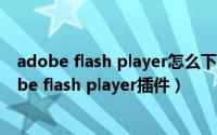 adobe flash player怎么下载安装（ubuntu如何安装 adobe flash player插件）