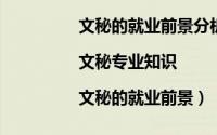 文秘的就业前景分析（文秘的工作内容|文秘专业知识|文秘的就业前景）