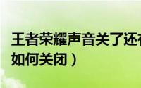 王者荣耀声音关了还有声音（王者荣耀总声音如何关闭）