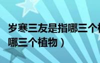 岁寒三友是指哪三个植物精神（岁寒三友是指哪三个植物）