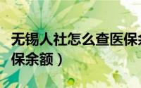 无锡人社怎么查医保余额（无锡人社怎么查医保余额）