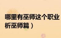 哪里有巫师这个职业（《新梦幻之城》职业分析巫师篇）