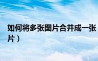如何将多张图片合并成一张（怎么将多张图片合并成一张图片）