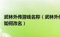 武林外传游戏名称（武林外传手游怎么改名字 武林外传手游如何改名）