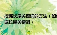 挖掘长尾关键词的方法（如何用长尾关键词挖掘工具急速挖掘长尾关键词）