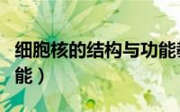 细胞核的结构与功能教案（细胞核的结构与功能）