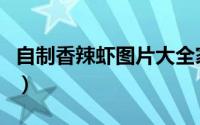 自制香辣虾图片大全家常（自制香辣虾的做法）