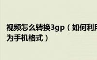 视频怎么转换3gp（如何利用3GPMP4转换精灵将视频转换为手机格式）