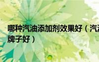 哪种汽油添加剂效果好（汽油添加剂有用吗汽油添加剂什么牌子好）