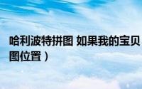 哈利波特拼图 如果我的宝贝（哈利波特如果我的宝贝照片拼图位置）