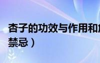 杏子的功效与作用和危害（杏子的功效与作用禁忌）