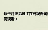 甄子丹肥龙过江在线观看国语（甄子丹新片肥龙过江网播如何观看）