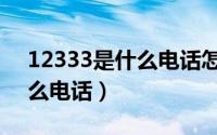 12333是什么电话怎么打不通（12333是什么电话）