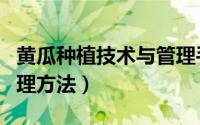 黄瓜种植技术与管理手册（黄瓜种植技术与管理方法）
