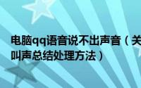 电脑qq语音说不出声音（关于QQ无法正常语音聊天、电脑叫声总结处理方法）