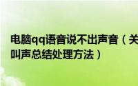 电脑qq语音说不出声音（关于QQ无法正常语音聊天、电脑叫声总结处理方法）