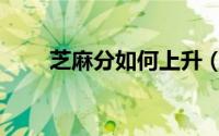 芝麻分如何上升（芝麻分如何贷款）