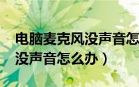 电脑麦克风没声音怎么办win7（电脑麦克风没声音怎么办）