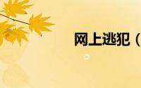 网上逃犯（网上逃犯）