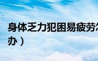 身体乏力犯困易疲劳怎么调理（身体乏力怎么办）
