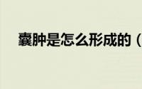 囊肿是怎么形成的（囊肿是怎么形成的）