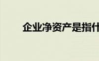 企业净资产是指什么（企业净资产）