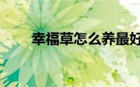幸福草怎么养最好（幸福草怎么养）