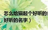 怎么给猫起个好听的名字女生（怎么给猫起个好听的名字）