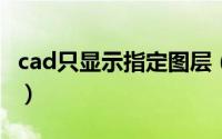 cad只显示指定图层（CAD怎么只看特定图层）