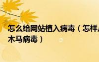 怎么给网站植入病毒（怎样从网络上下载网站而免疫广告和木马病毒）