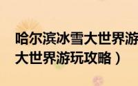 哈尔滨冰雪大世界游记（2018年哈尔滨冰雪大世界游玩攻略）