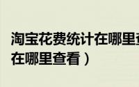 淘宝花费统计在哪里查看数据（淘宝花费统计在哪里查看）