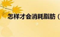 怎样才会消耗脂肪（怎样才会消耗脂肪）