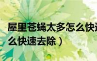 屋里苍蝇太多怎么快速去除（屋里苍蝇太多怎么快速去除）