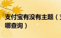 支付宝有没有主题（支付宝更多的主题皮肤在哪查询）
