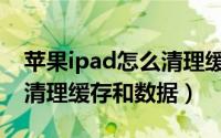 苹果ipad怎么清理缓存视频（苹果ipad怎么清理缓存和数据）