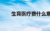 生育医疗费什么意思（生育医疗费）