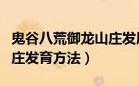 鬼谷八荒御龙山庄发展方法（鬼谷八荒御龙山庄发育方法）