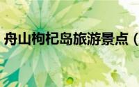 舟山枸杞岛旅游景点（舟山枸杞岛旅游攻略）