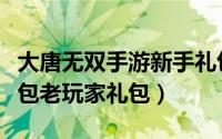 大唐无双手游新手礼包（大唐无双零新玩家礼包老玩家礼包）