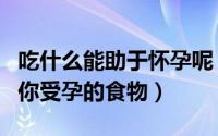 吃什么能助于怀孕呢（想怀孕要吃什么十个助你受孕的食物）