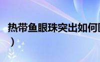 热带鱼眼珠突出如何医治（鱼类眼球突出防治）