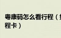 粤康码怎么看行程（如何打开粤康码及查询行程卡）
