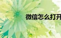 微信怎么打开单字屏模式？