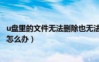 u盘里的文件无法删除也无法格式化（u盘里的文件无法删除怎么办）
