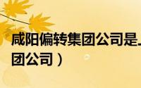 咸阳偏转集团公司是上市公司么（咸阳偏转集团公司）
